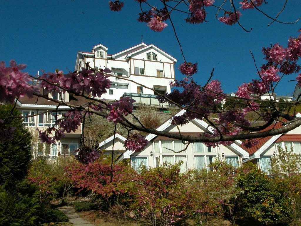 Dreamtown Apartment Renai Exterior photo